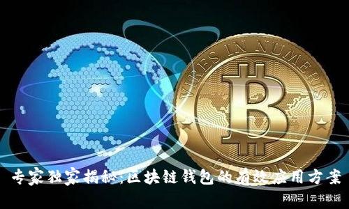 专家独家揭秘：区块链钱包的有效应用方案