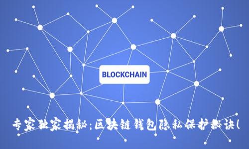 专家独家揭秘：区块链钱包隐私保护秘诀！