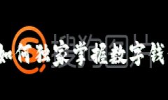 专家教你：如何独家掌握数字钱包存钱秘诀