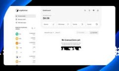 专家揭秘：掌握区块链MC钱包的独家秘诀，轻松管