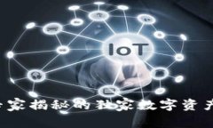 IM钱包：专家揭秘的独家数字资产管理秘诀