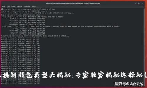 区块链钱包类型大揭秘：专家独家揭秘选择秘诀！