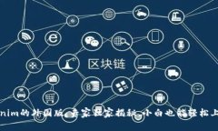 揭秘Tokenim的外国版：专家独家揭秘，小白也能轻