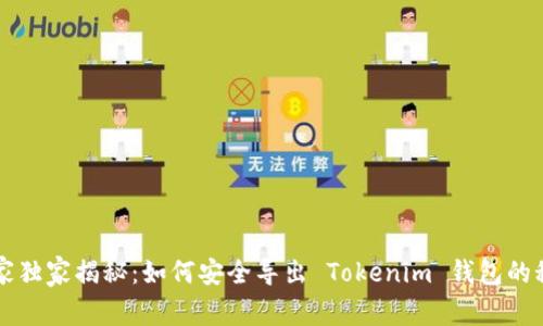 专家独家揭秘：如何安全导出 Tokenim 钱包的秘诀