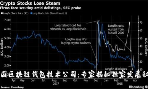 中国区块链钱包技术公司：专家揭秘独家发展秘诀