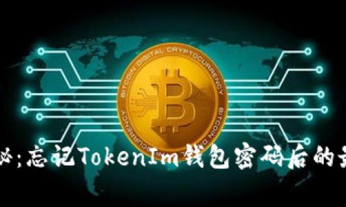 专家独家揭秘：忘记TokenIm钱包密码后的最佳解决方案