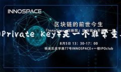 在讨论Tokenim导出私钥的问题之前，我们首先需要