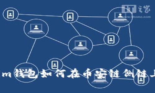 专家教你：Tokenim钱包如何在币安链侧链上使用的独家秘诀