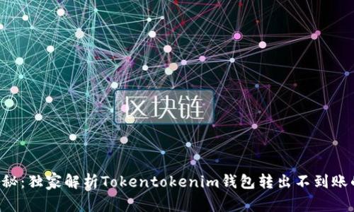 专家揭秘：独家解析Tokentokenim钱包转出不到账的秘诀！