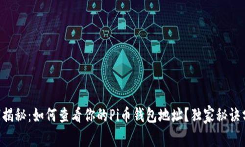 专家揭秘：如何查看你的Pi币钱包地址？独家秘诀分享！