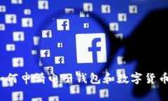 专家揭秘：如何申请电子钱包和数字货币的独家