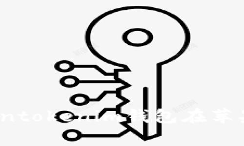 专家揭秘：使用Tokentokenim钱包在苹果系统上的独家秘诀