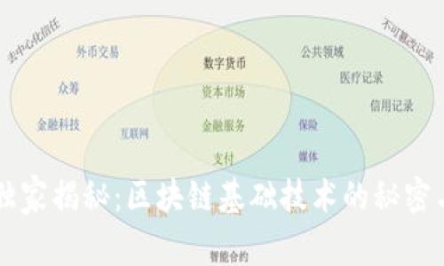 专家独家揭秘：区块链基础技术的秘密与应用