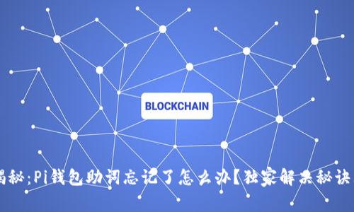 专家揭秘：Pi钱包助词忘记了怎么办？独家解决秘诀大公开