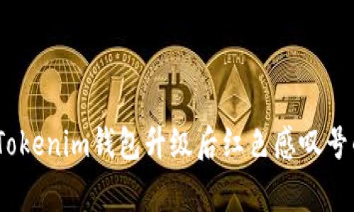独家揭秘：Tokenim钱包升级后红色感叹号的解决秘诀