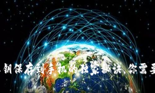 专家揭秘：钱包私钥保存到手机的独家秘诀，你需要知道的安全事项