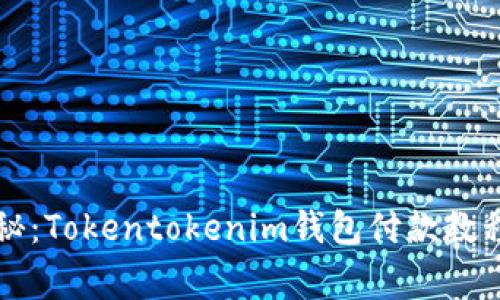 专家独家揭秘：Tokentokenim钱包付款教程及使用秘诀