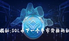 专家独家揭秘：SOL币下一个牛市价格的秘密与预