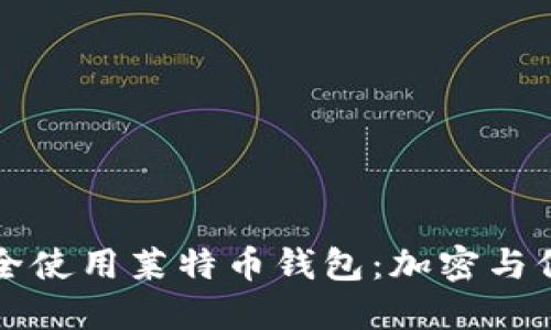 如何安全使用莱特币钱包：加密与保护指南