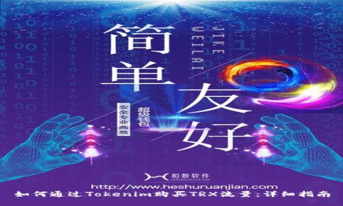 如何通过Tokenim购买TRX流量：详细指南