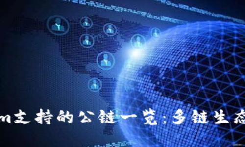 Tokenim支持的公链一览：多链生态的未来
