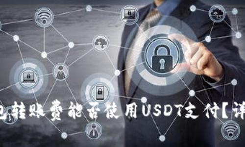 TokenTokenIM钱包转账费能否使用USDT支付？详细解析与操作指南