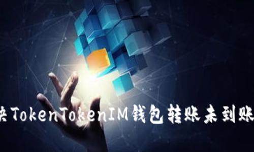 如何解决TokenTokenIM钱包转账未到账的问题？