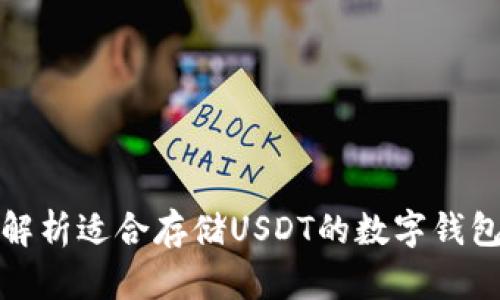 全面解析适合存储USDT的数字钱包选项