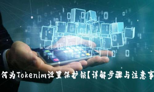 如何为Tokenim设置保护锁？详解步骤与注意事项