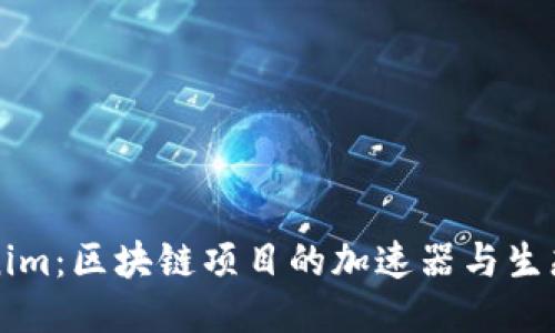 Tokenim：区块链项目的加速器与生态平台