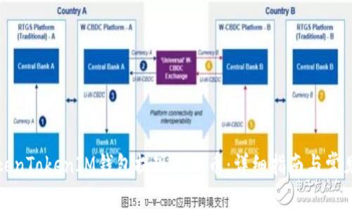 如何在TokenTokenIM钱包提现人民币：详细指南与常见问题解答