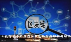 为什么数字货币无法存入钱包的原因解析与解决