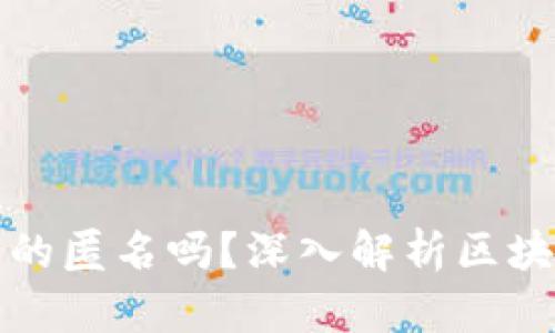 区块链钱包真的匿名吗？深入解析区块链隐私性之谜