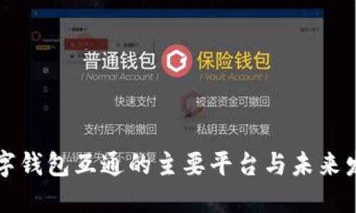 国际数字钱包互通的主要平台与未来发展趋势