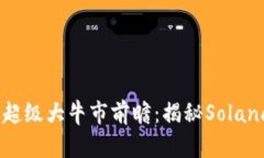 2024年币圈超级大牛市前瞻：揭秘Solana的崛起机会