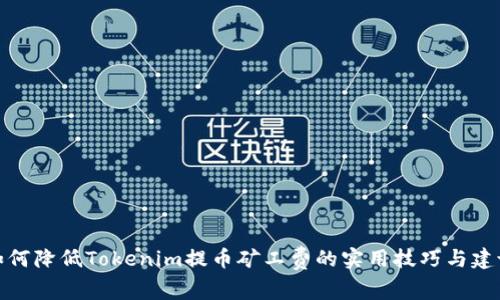 如何降低Tokenim提币矿工费的实用技巧与建议
