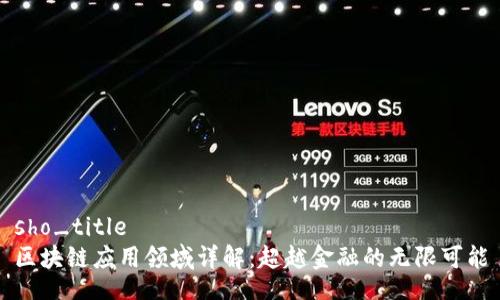 sho_title
区块链应用领域详解：超越金融的无限可能