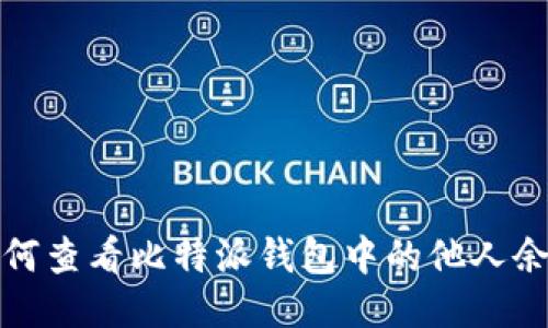 如何查看比特派钱包中的他人余额